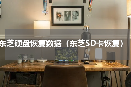 东芝硬盘恢复数据（东芝SD卡恢复）