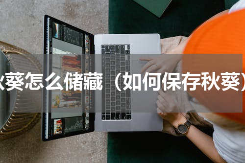 秋葵怎么储藏（如何保存秋葵）