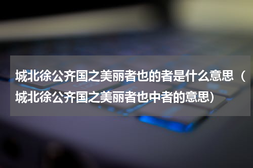城北徐公齐国之美丽者也的者是什么意思（城北徐公齐国之美丽者也中者的意思）