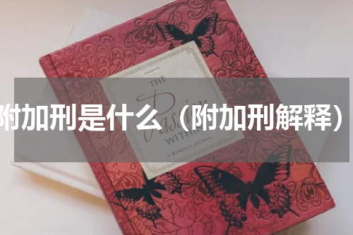 附加刑是什么（附加刑解释）