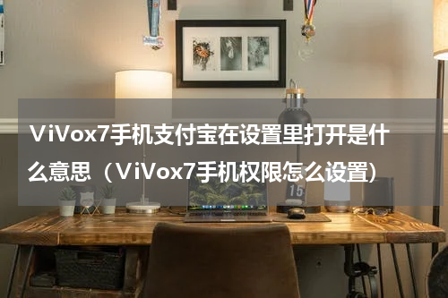 ⅤiVox7手机支付宝在设置里打开是什么意思（ⅤiVox7手机权限怎么设置）