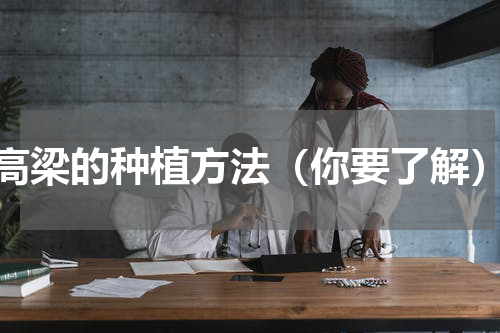 高梁的种植方法（你要了解）