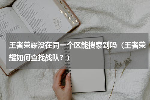 王者荣耀没在同一个区能搜索到吗（王者荣耀如何查找战队？）