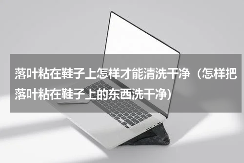 落叶粘在鞋子上怎样才能清洗干净（怎样把落叶粘在鞋子上的东西洗干净）
