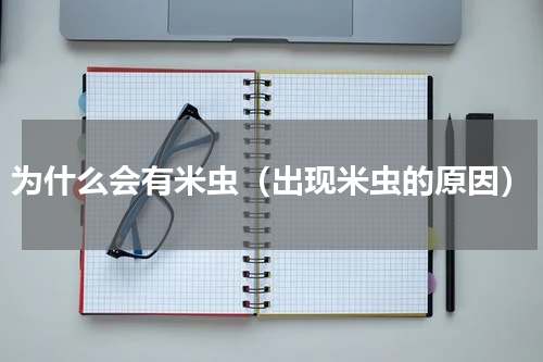 为什么会有米虫（出现米虫的原因）