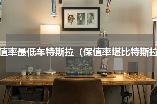 保值率最低车特斯拉（保值率堪比特斯拉）