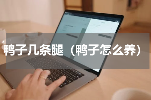 鸭子几条腿（鸭子怎么养）