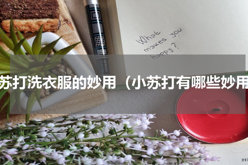 小苏打洗衣服的妙用（小苏打有哪些妙用）