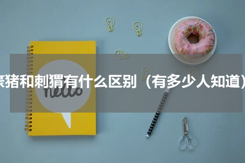 豪猪和刺猬有什么区别（有多少人知道）