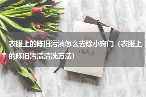 衣服上的陈旧污渍怎么去除小窍门（衣服上的陈旧污渍清洗方法）