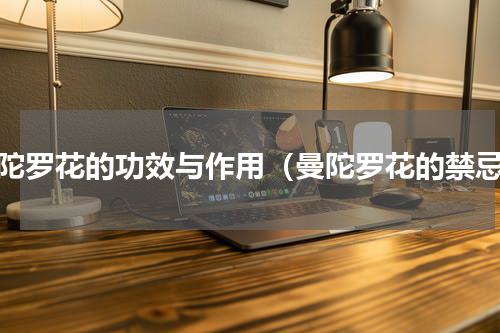 曼陀罗花的功效与作用（曼陀罗花的禁忌）