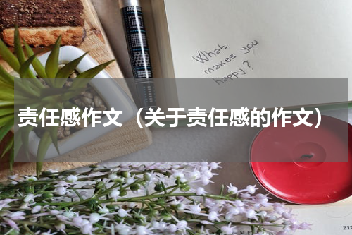 责任感作文（关于责任感的作文）