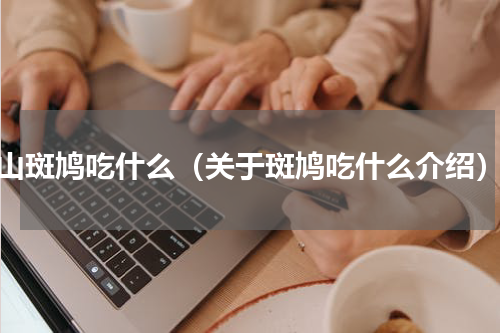 山斑鸠吃什么（关于斑鸠吃什么介绍）