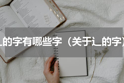 辶的字有哪些字（关于辶的字）