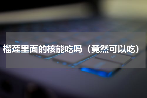 榴莲里面的核能吃吗（竟然可以吃）