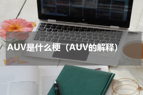 AUV是什么梗（AUV的解释）