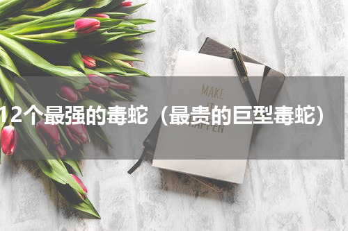 12个最强的毒蛇（最贵的巨型毒蛇）