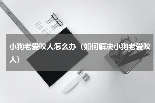 小狗老爱咬人怎么办（如何解决小狗老爱咬人）