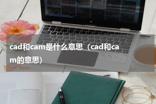cad和cam是什么意思（cad和cam的意思）