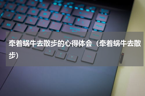 牵着蜗牛去散步的心得体会（牵着蜗牛去散步）