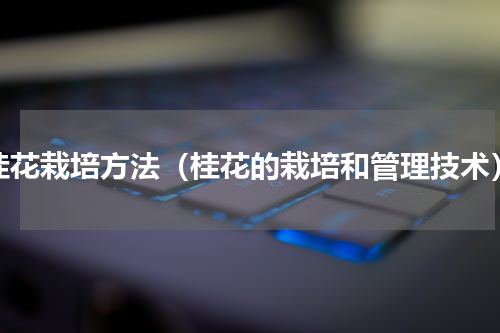桂花栽培方法（桂花的栽培和管理技术）