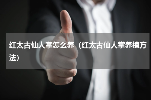 红太古仙人掌怎么养（红太古仙人掌养植方法）