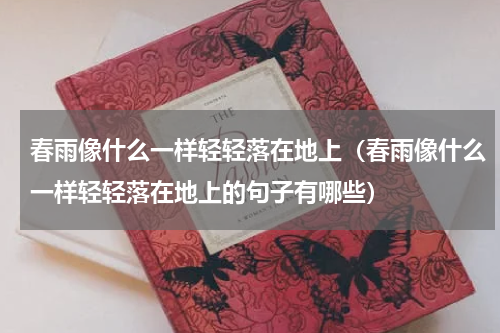 春雨像什么一样轻轻落在地上（春雨像什么一样轻轻落在地上的句子有哪些）