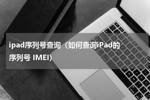 ipad序列号查询（如何查询iPad的序列号 IMEI）