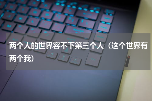 两个人的世界容不下第三个人（这个世界有两个我）