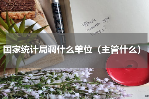 国家统计局调什么单位（主管什么）