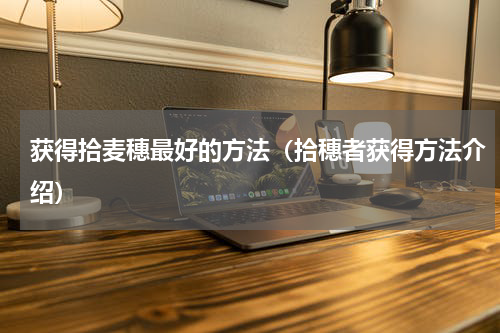 获得拾麦穗最好的方法（拾穗者获得方法介绍）