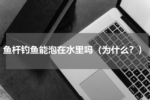 鱼杆钓鱼能泡在水里吗（为什么？）