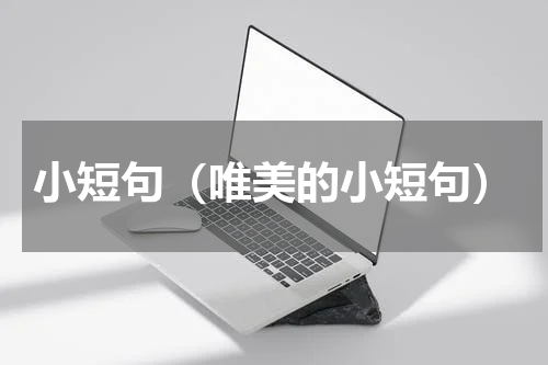 小短句（唯美的小短句）