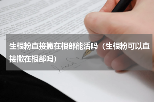 生根粉直接撒在根部能活吗（生根粉可以直接撒在根部吗）