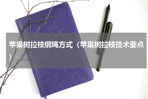 苹果树拉枝绑绳方式（苹果树拉枝技术要点）