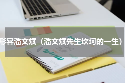形容潘文斌（潘文斌先生坎坷的一生）