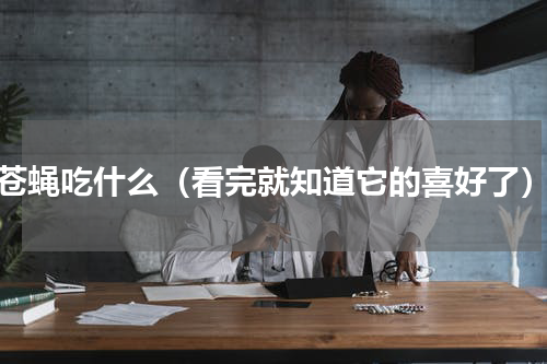 苍蝇吃什么（看完就知道它的喜好了）