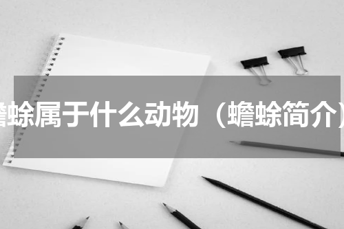蟾蜍属于什么动物（蟾蜍简介）