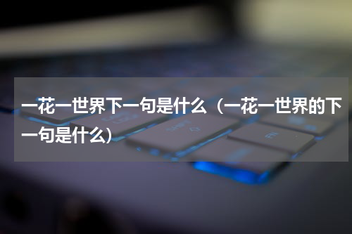 一花一世界下一句是什么（一花一世界的下一句是什么）