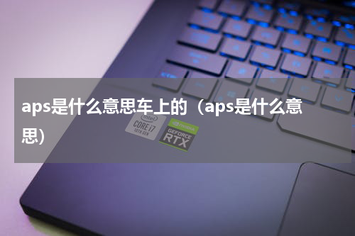 aps是什么意思车上的（aps是什么意思）