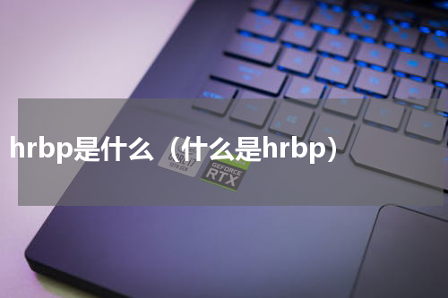 hrbp是什么（什么是hrbp）