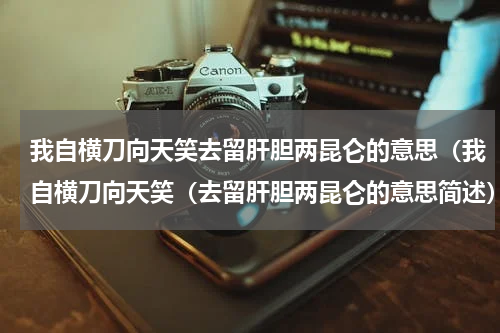 我自横刀向天笑去留肝胆两昆仑的意思（我自横刀向天笑（去留肝胆两昆仑的意思简述）