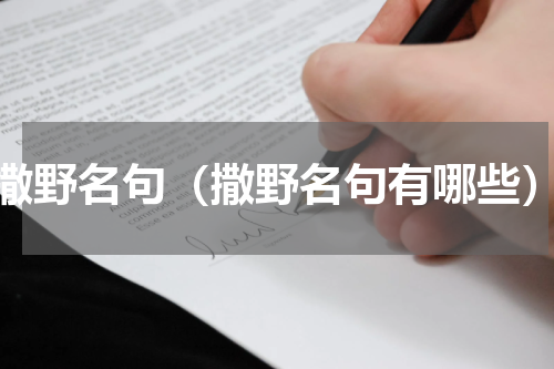 撒野名句（撒野名句有哪些）