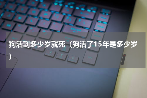 狗活到多少岁就死（狗活了15年是多少岁）