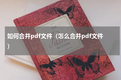 如何合并pdf文件（怎么合并pdf文件）
