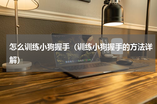 怎么训练小狗握手（训练小狗握手的方法详解）