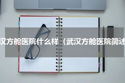 武汉方舱医院什么样（武汉方舱医院简述）