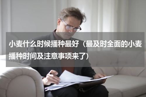 小麦什么时候播种最好（最及时全面的小麦播种时间及注意事项来了）
