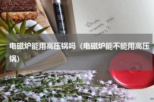 电磁炉能用高压锅吗（电磁炉能不能用高压锅）