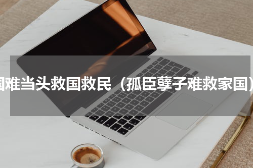 国难当头救国救民（孤臣孽子难救家国）